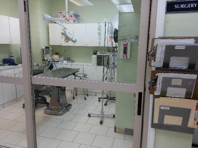 Surgical Suite